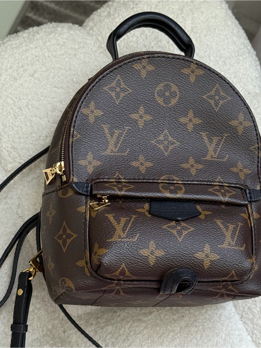 Louis Vuitton Palm Springs Mini Monogram Backpack - Picture 3 of 12